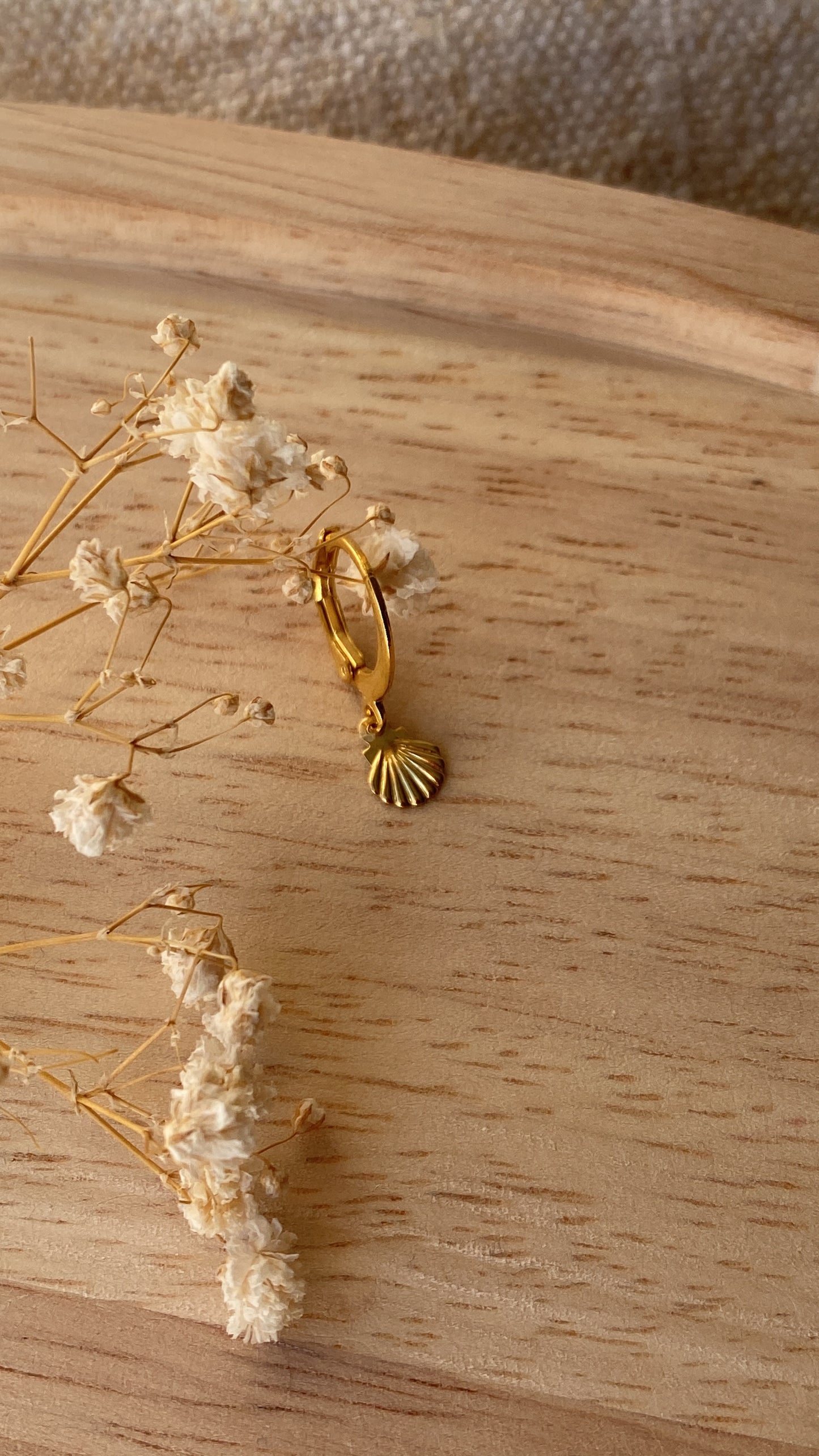 Petit coquillage doré