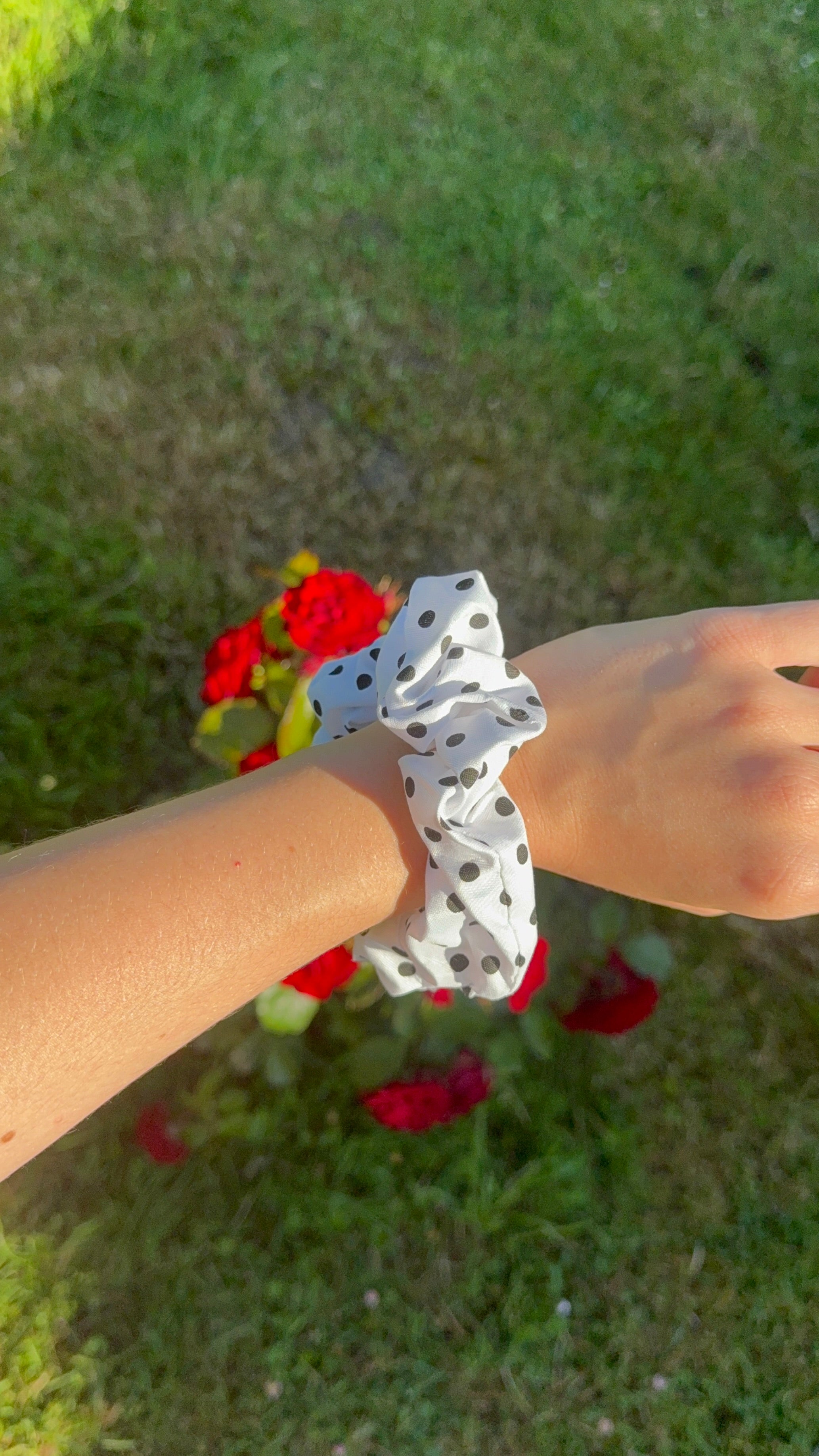 Blanc à pois