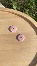 Marguerites roses
