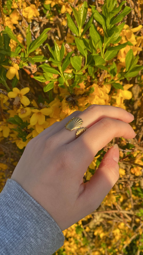 Bague coquillage