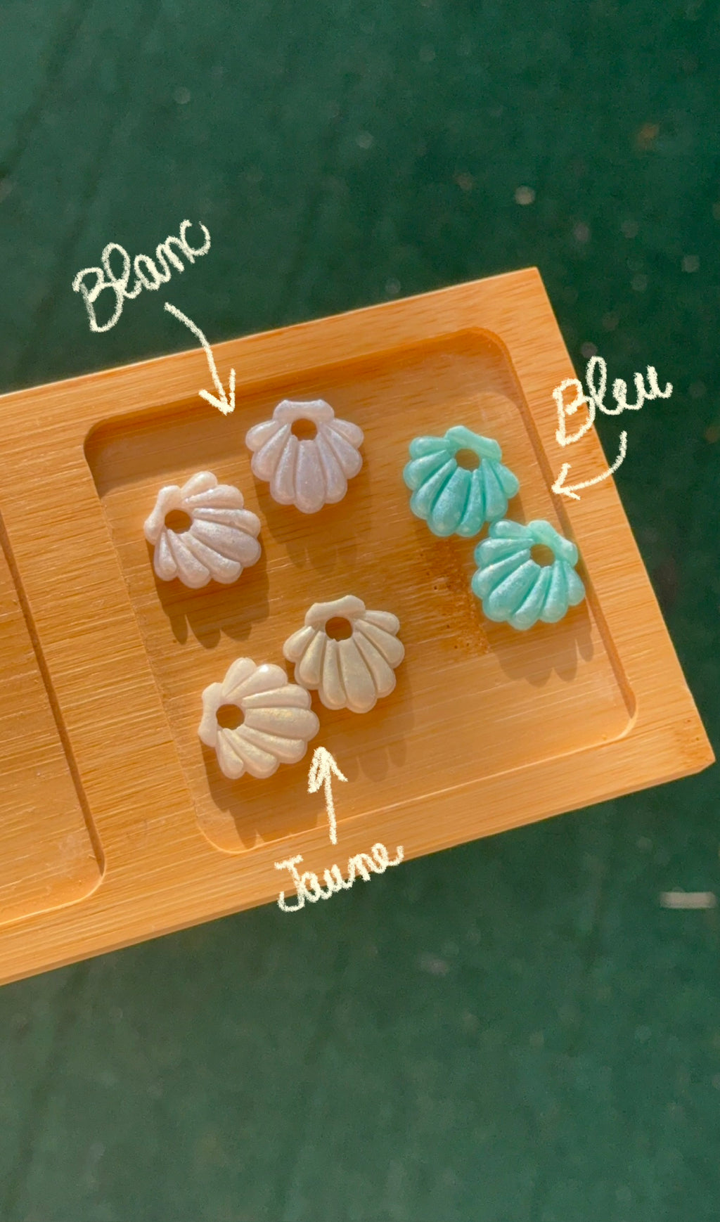 Coquillages