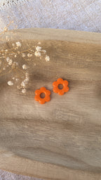 Pampilles fleurs oranges