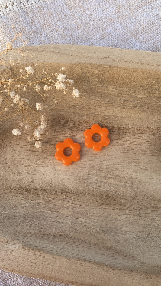 Pampilles fleurs oranges