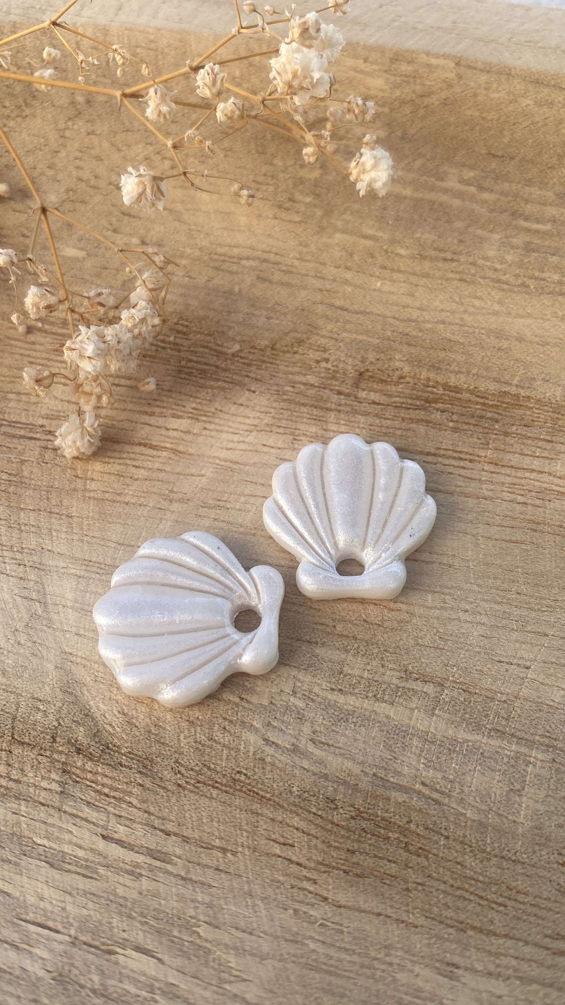 Pampilles coquillages irisés