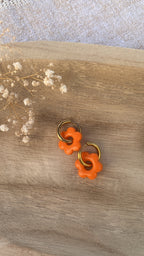 Pampilles fleurs oranges