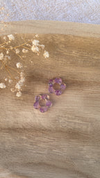 Pampilles fleurs, fleurs violettes