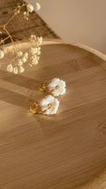 Petites fleurs blanches