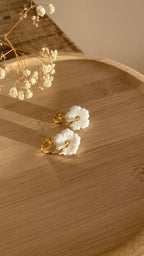 Petites fleurs blanches