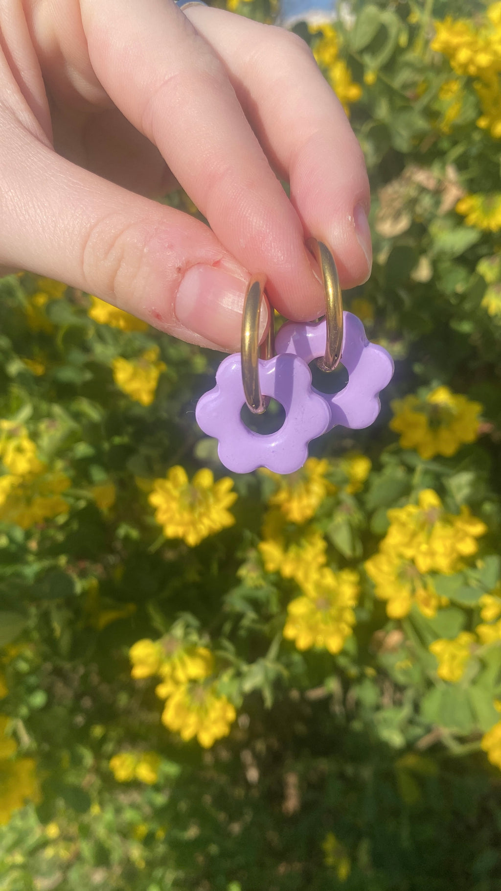 fleurs lilas
