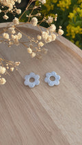 Pampilles fleurs blanches feuilles d’argent
