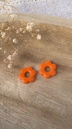 Pampilles fleurs oranges