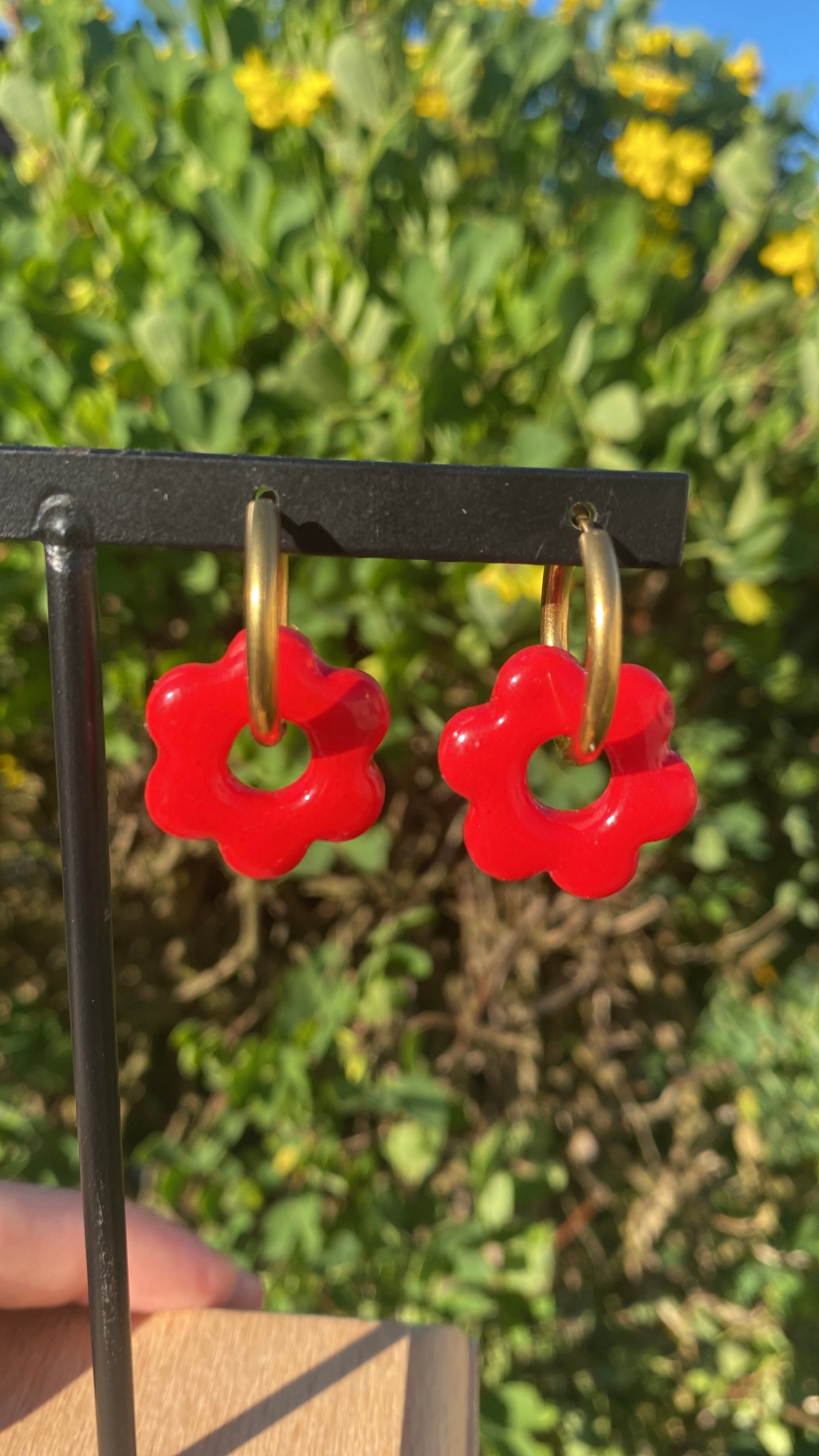 Pampilles fleurs rouges
