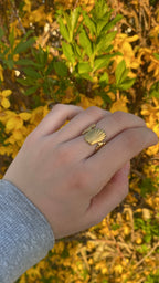 Bague coquillage