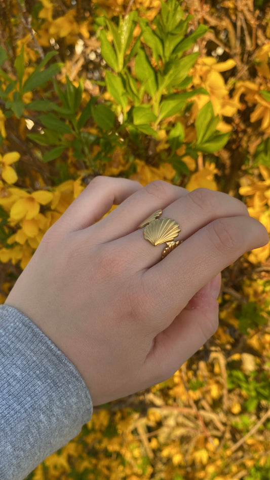 Bague coquillage