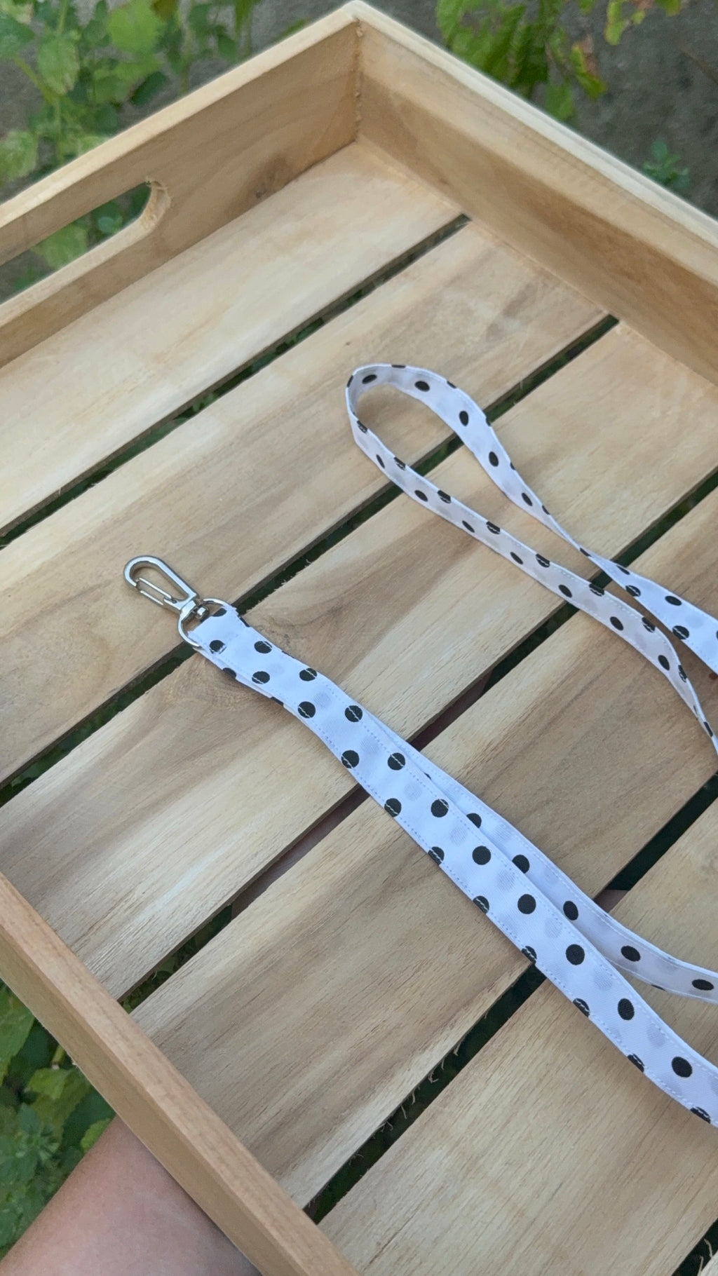 Blanc à pois