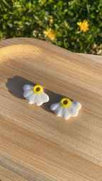 Marguerites (petites)