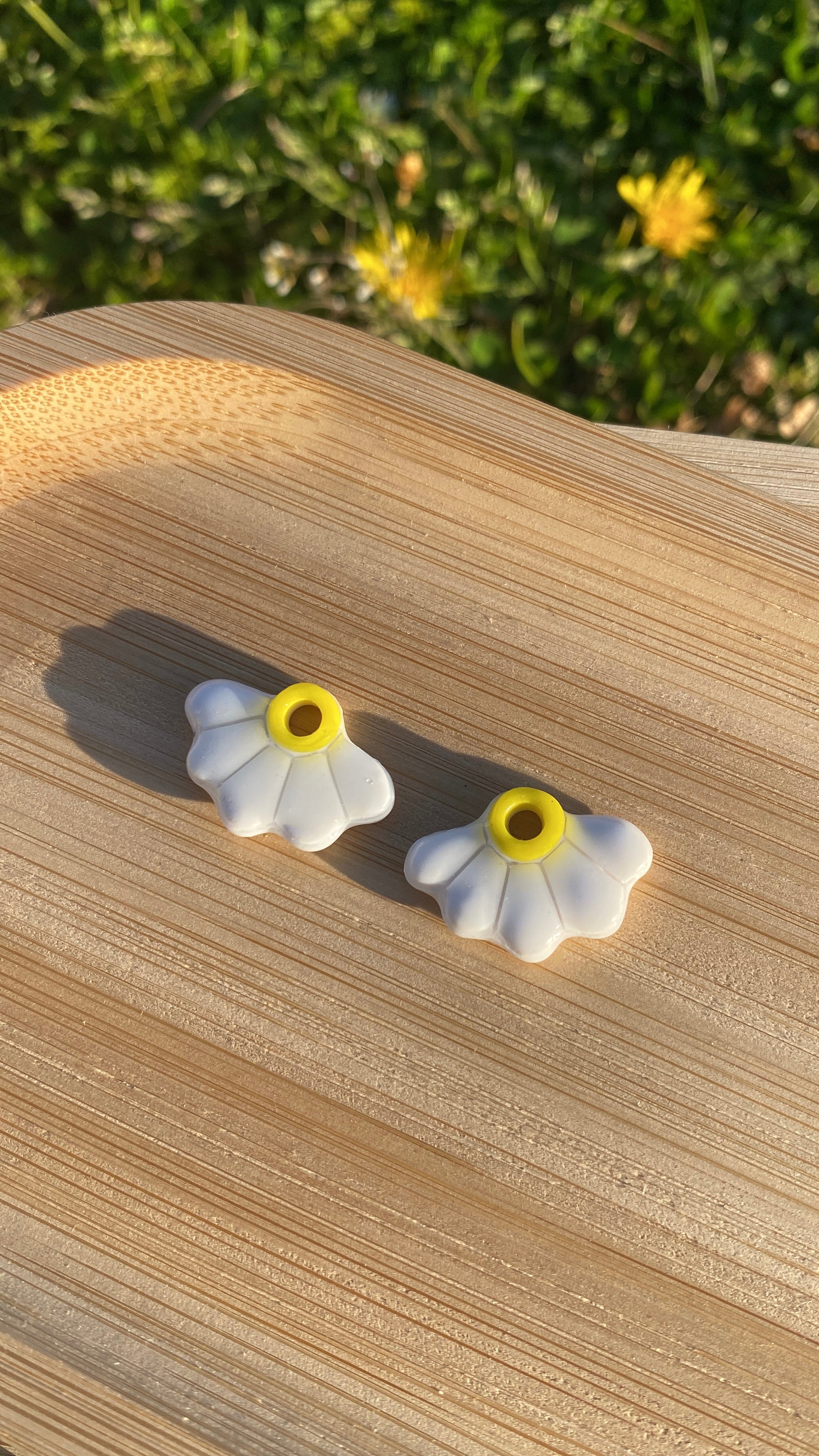 Marguerites (petites)