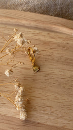 Petit coquillage doré