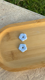 petites fleurs bleues pastels