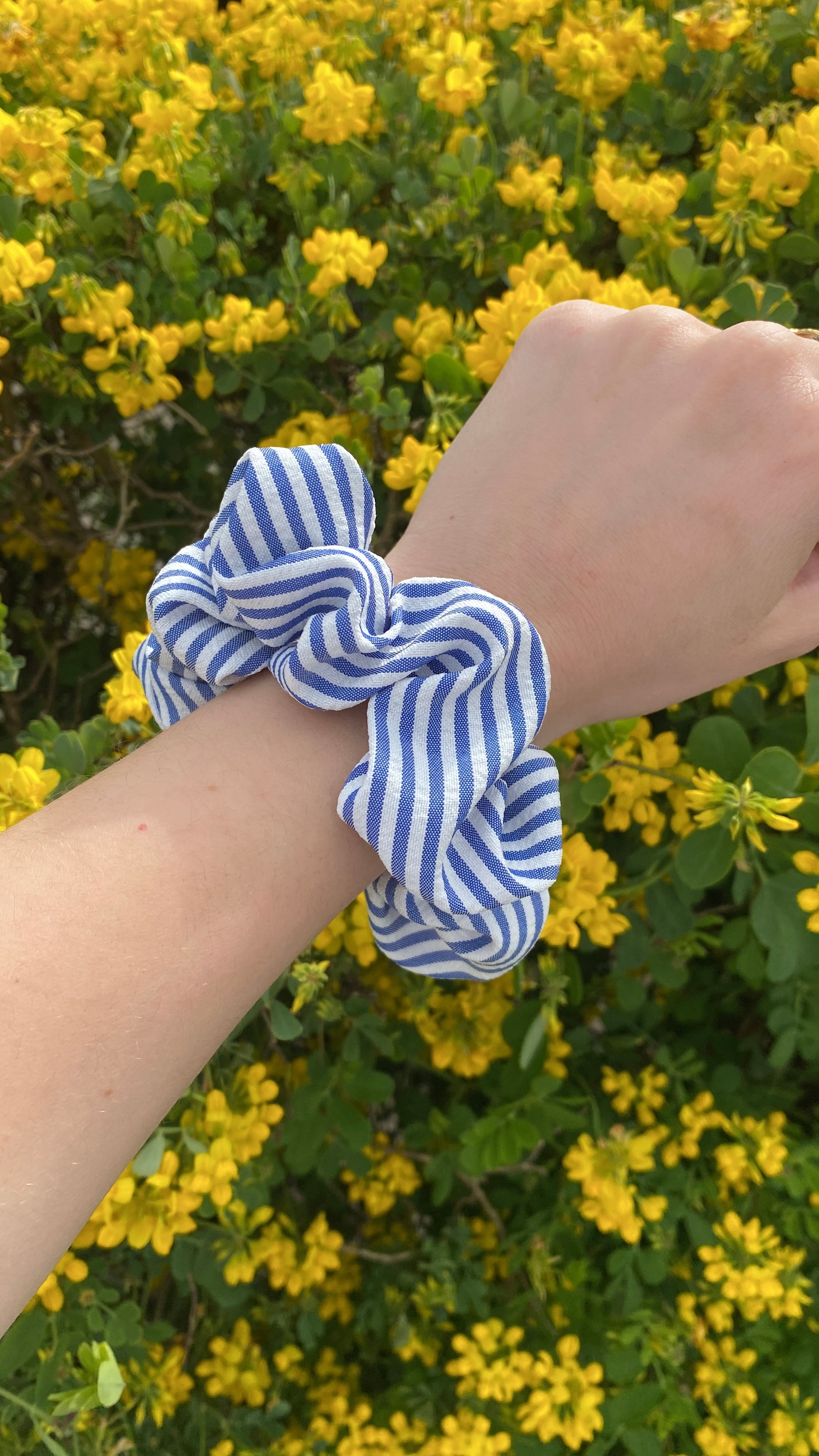 Rayé bleu et blanc